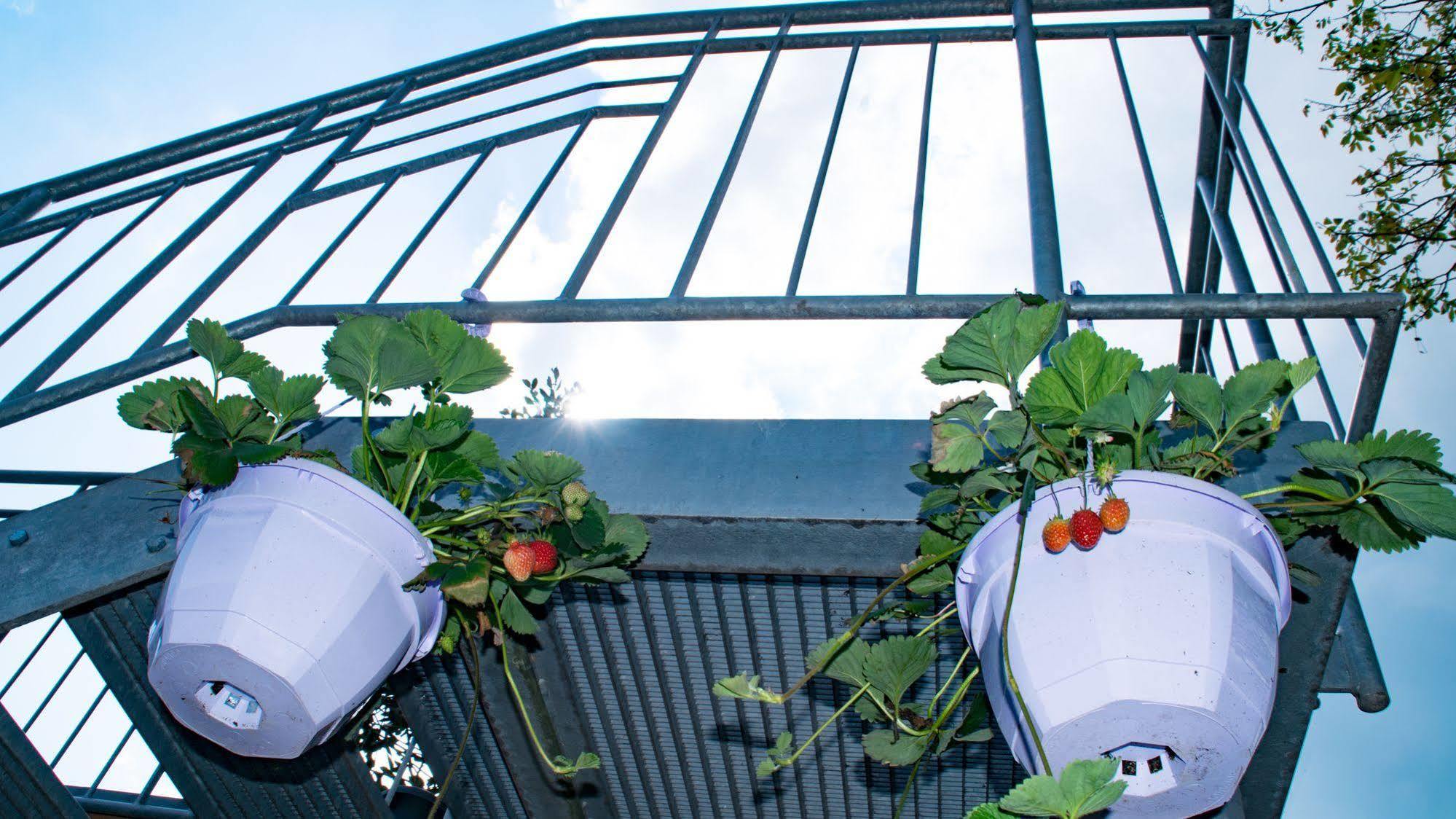 Familienpension Linder Maison d'hôtes 4*